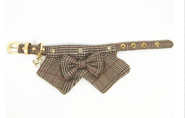 Ozdobna obroża+smycz dla psa/kota