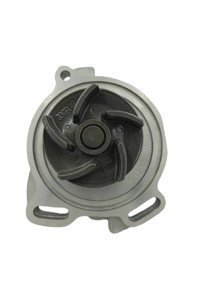 A169 DOLZ POMPA WODNA