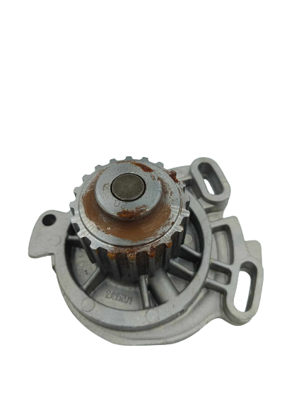 A169 DOLZ POMPA WODNA - obrazek 2