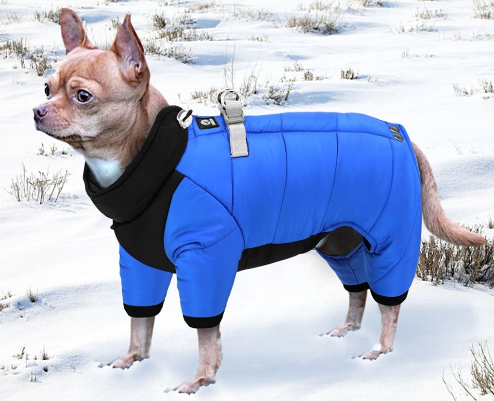 Kombinezon pikowany dla małego psa - obrazek 2