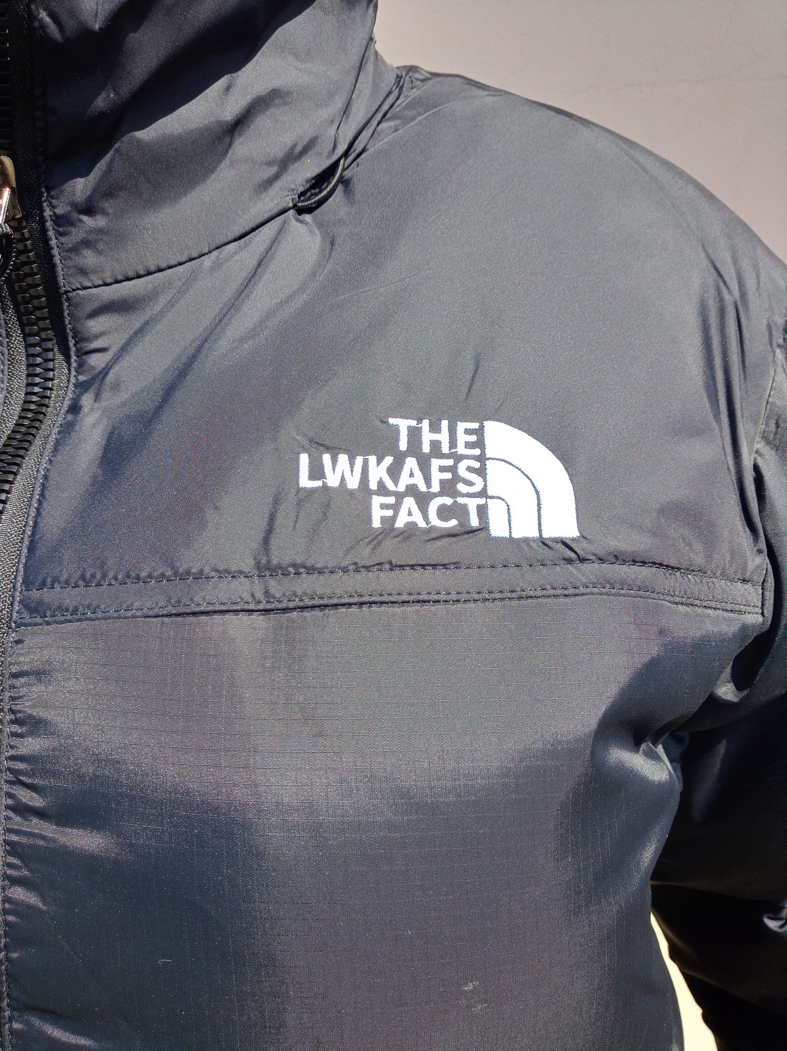 Męska kurtka pikowana THE LWKAFS FACT - obrazek 3