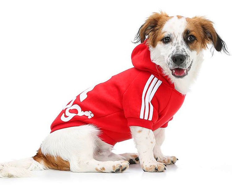 Ocieplana bluza ADIDOG ZWIERZĘ155 - obrazek 3