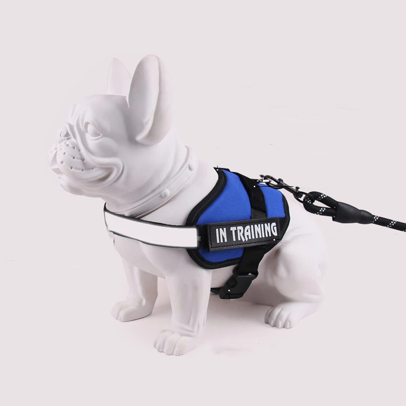 Uprząż dla psa niebieska XL - obrazek 2