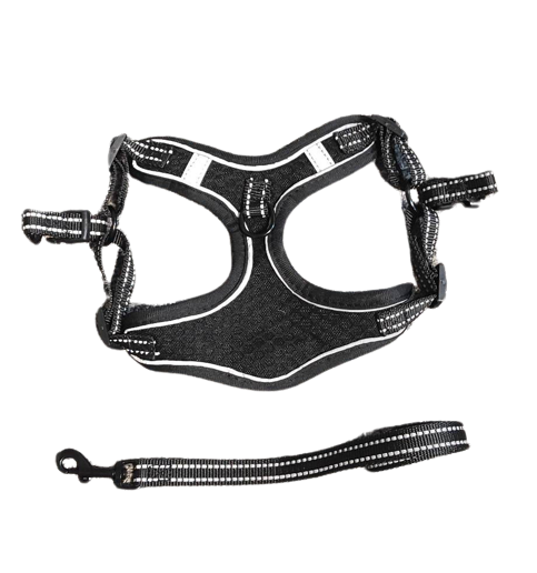 Komplet dla małego psa/kota Szelki + Smycz