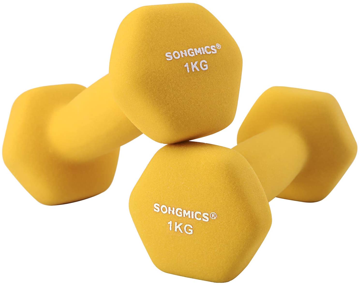 HANTLE CIĘŻARKI 1KG SONGMICS