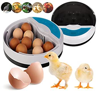 Mini inkubator 9 jaj wylęgarka klujnik TACKLY - obrazek 5