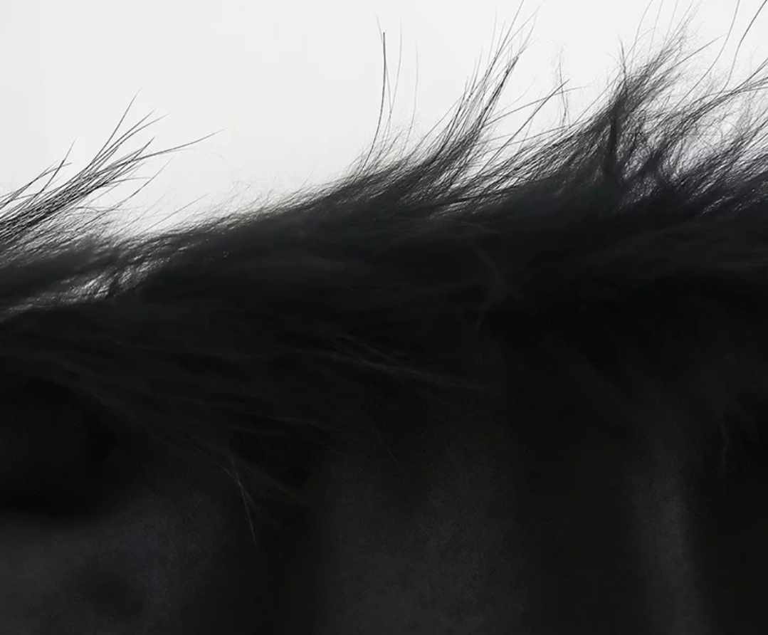 Czarna sukienka midi z ozdobnymi piórami - obrazek 4